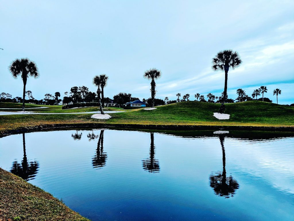 A golf course lake with sabal palms reflected in it